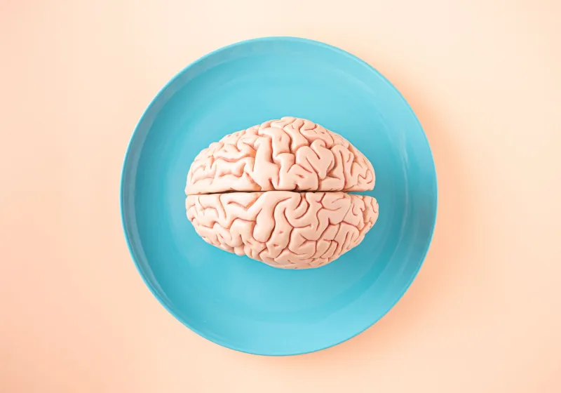 The Science Behind That 'Gut Feeling': Meet the Nervous System You Didn't Know You Had