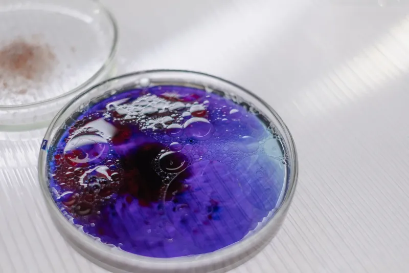 Your Stovetop Is Smarter Than You Think: Everyday Chemistry Hiding in Plain Sight
